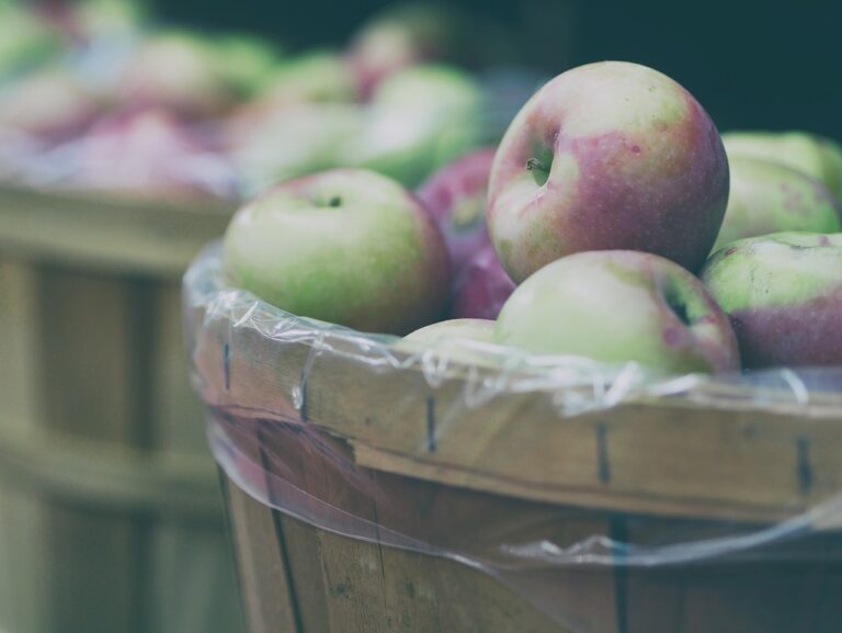 The Psychology of Weight Loss: Strategies for Sustainable Success